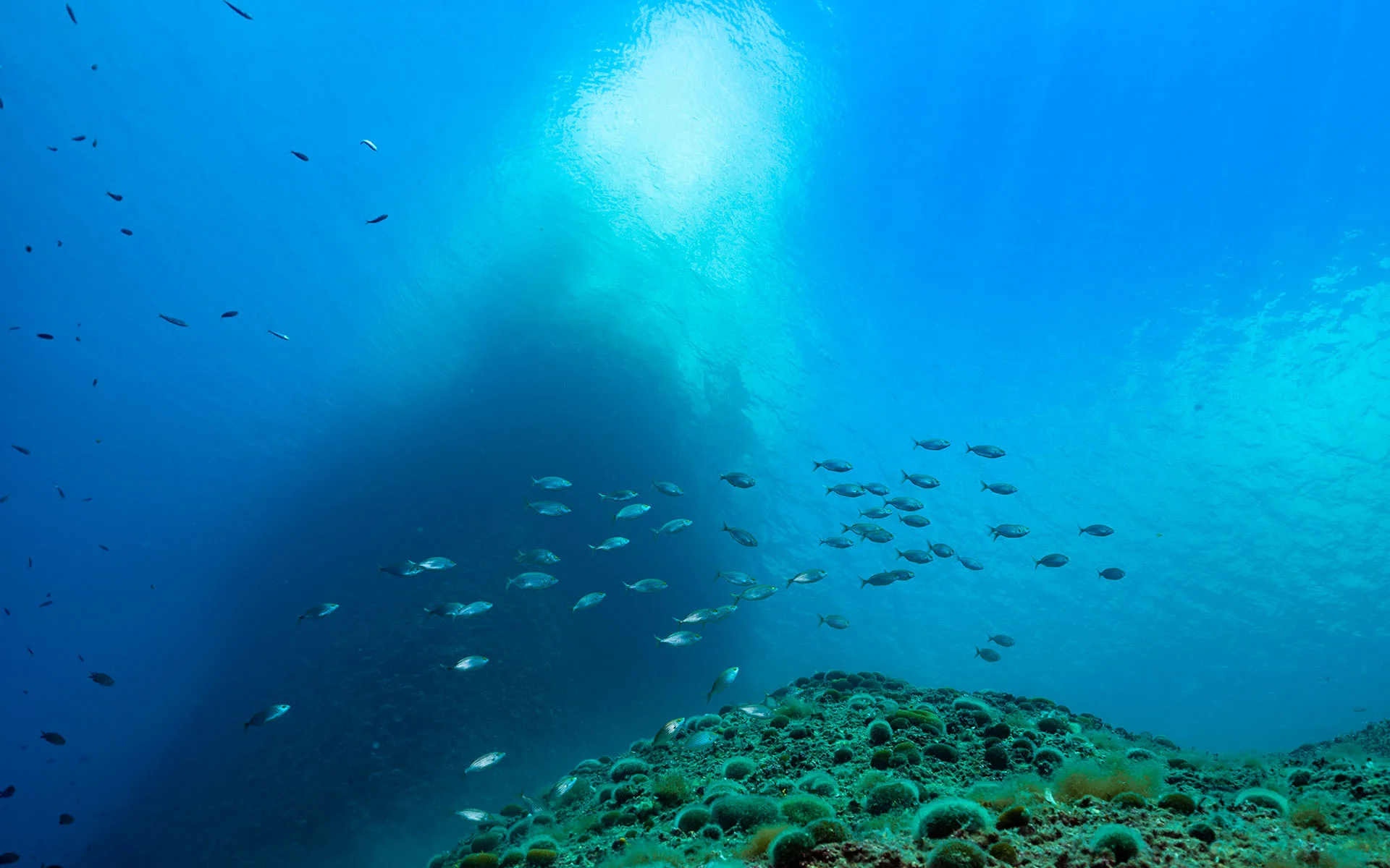 underwater affair