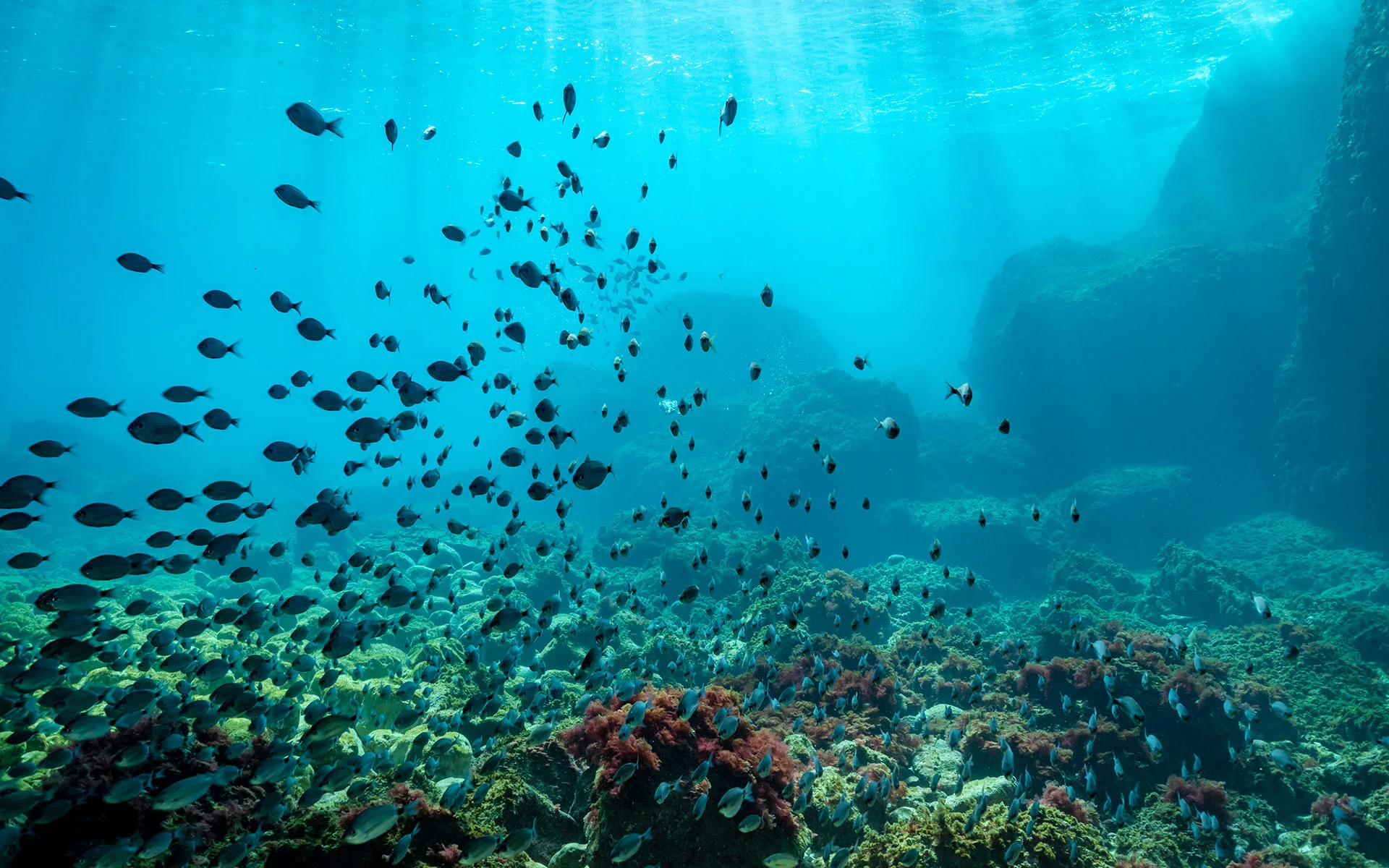 underwater affair